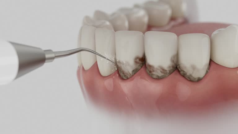 Reliable Dental contractor in Prince George, VA by Dentist Open Now
